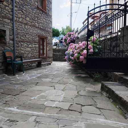 Hotel Arka Metsovo Exteriér fotografie