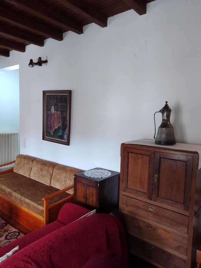 Hotel Arka Metsovo Exteriér fotografie