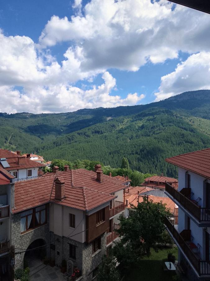 Hotel Arka Metsovo Exteriér fotografie