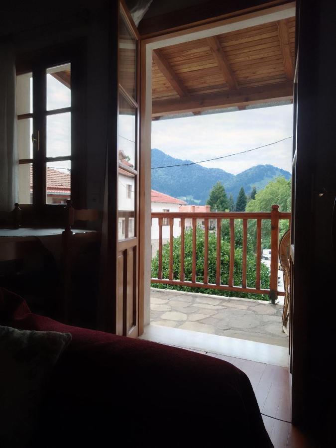 Hotel Arka Metsovo Exteriér fotografie