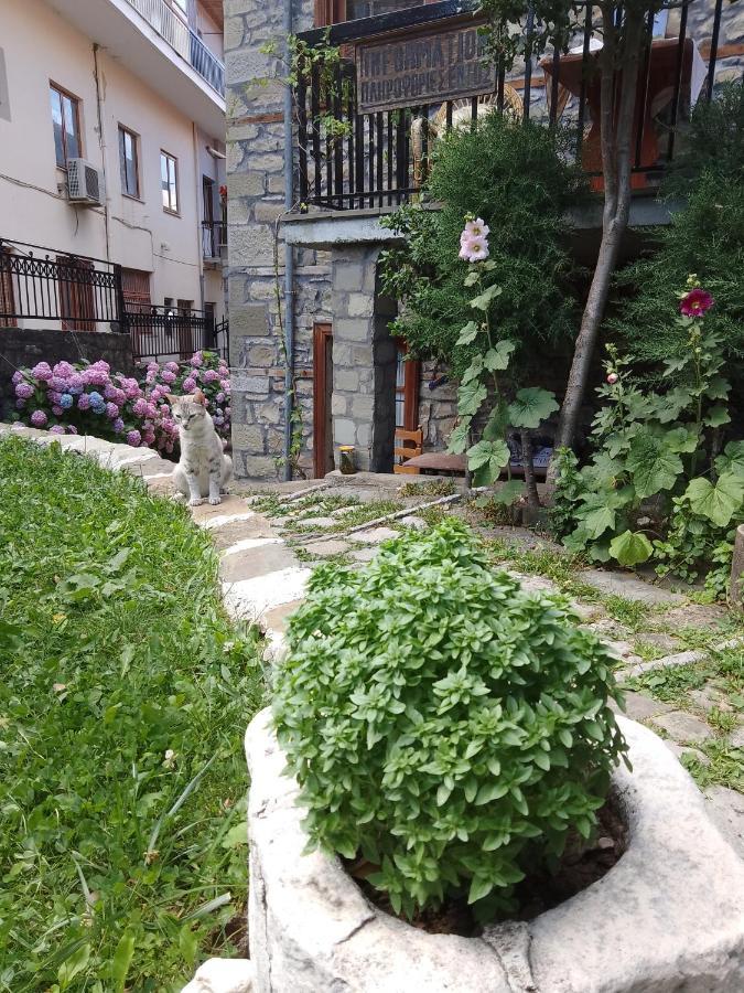 Hotel Arka Metsovo Exteriér fotografie