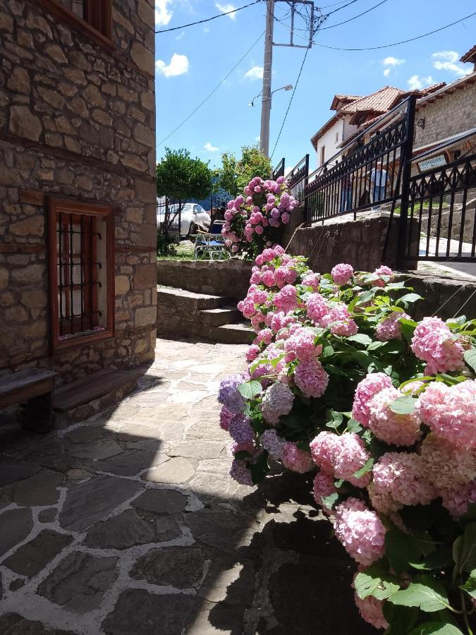 Hotel Arka Metsovo Exteriér fotografie