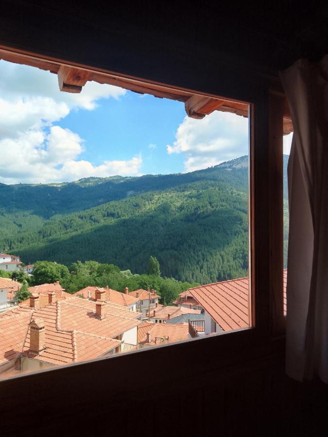 Hotel Arka Metsovo Exteriér fotografie