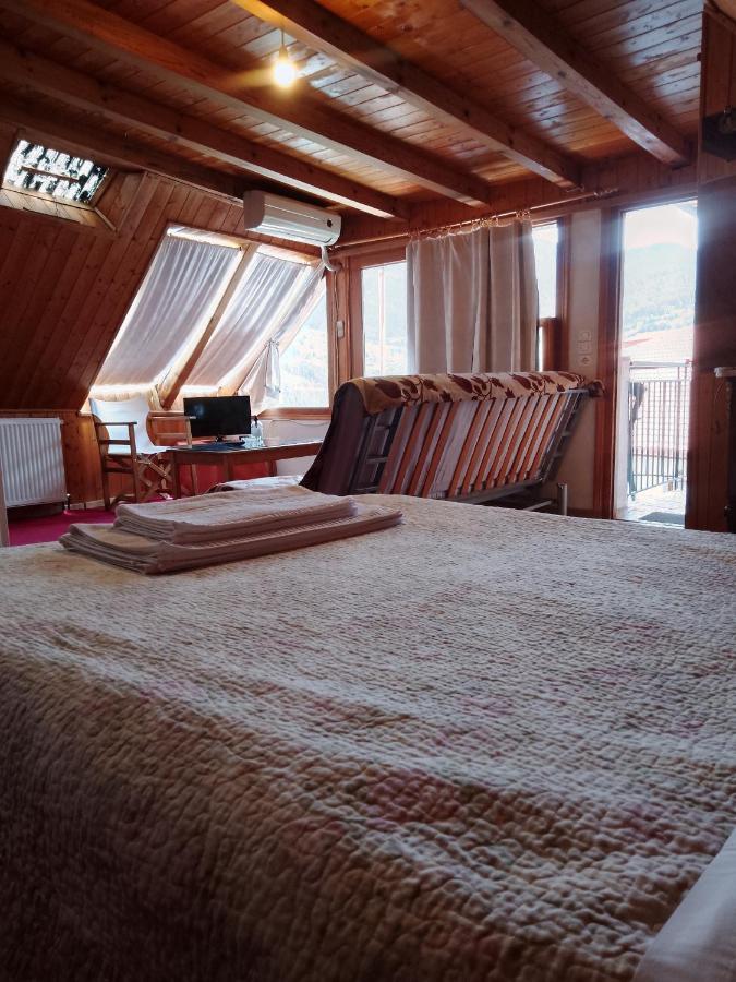 Hotel Arka Metsovo Exteriér fotografie