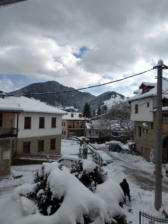 Hotel Arka Metsovo Exteriér fotografie