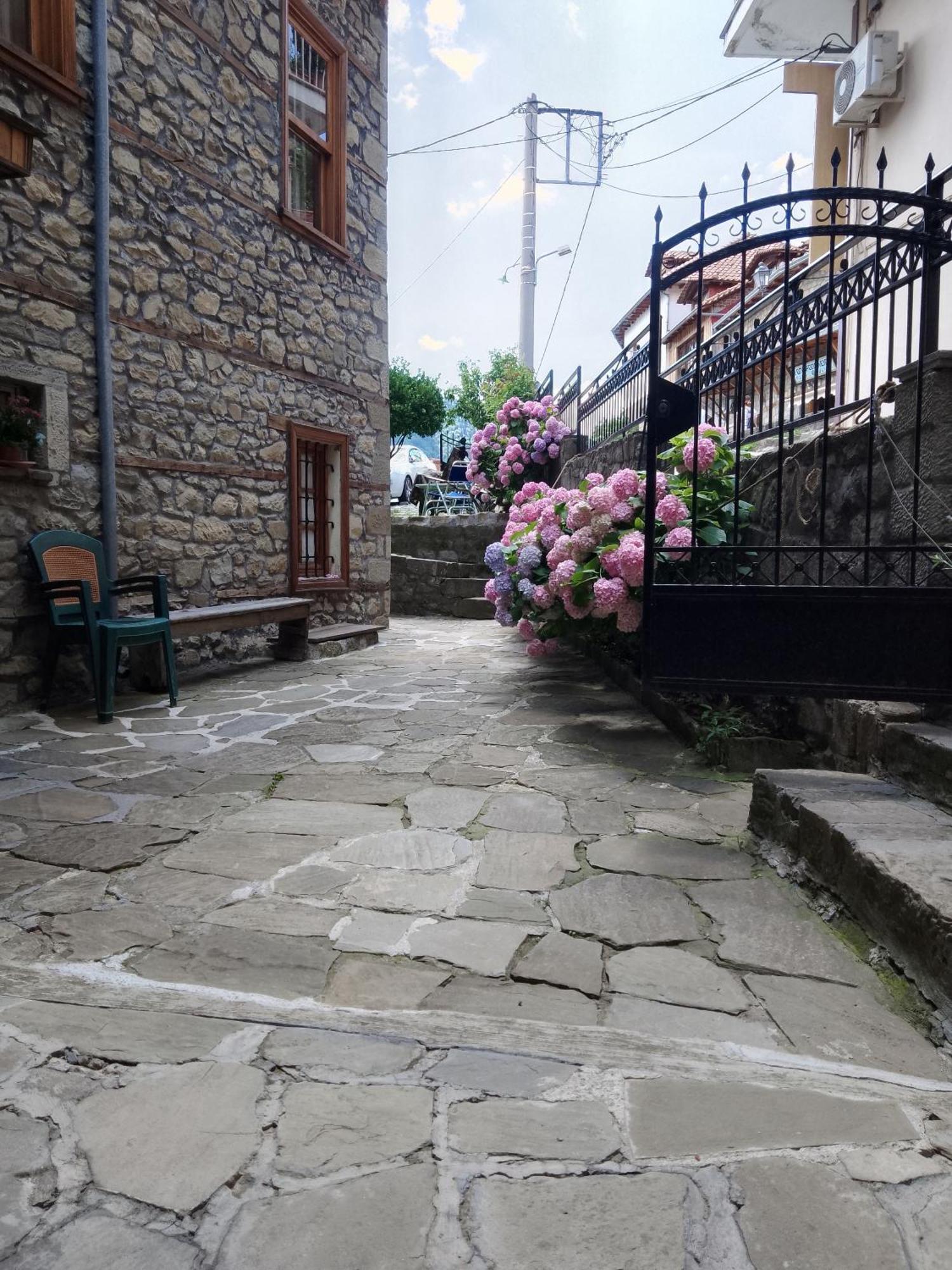 Hotel Arka Metsovo Exteriér fotografie