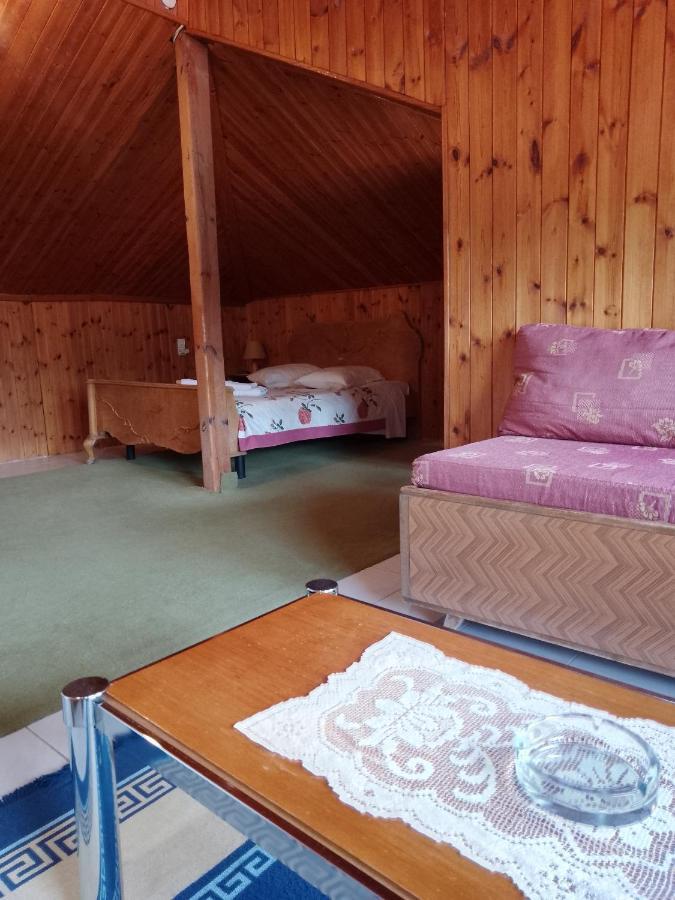 Hotel Arka Metsovo Exteriér fotografie